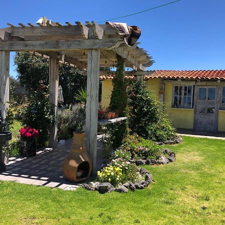 Nopalucan de la Granja Hotel Quinta San Antonio מראה חיצוני תמונה