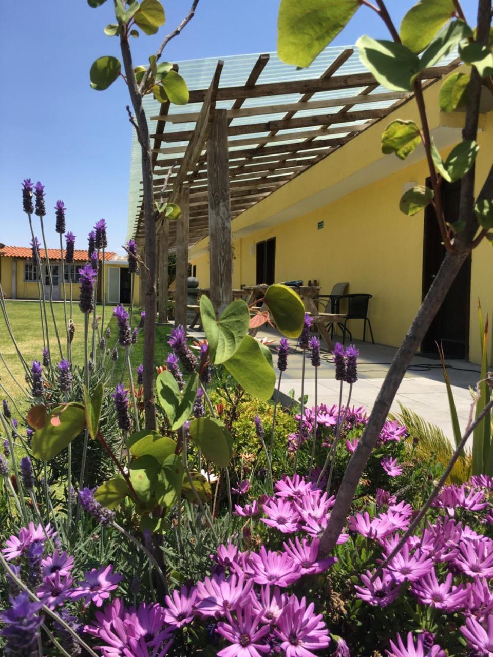 Nopalucan de la Granja Hotel Quinta San Antonio מראה חיצוני תמונה
